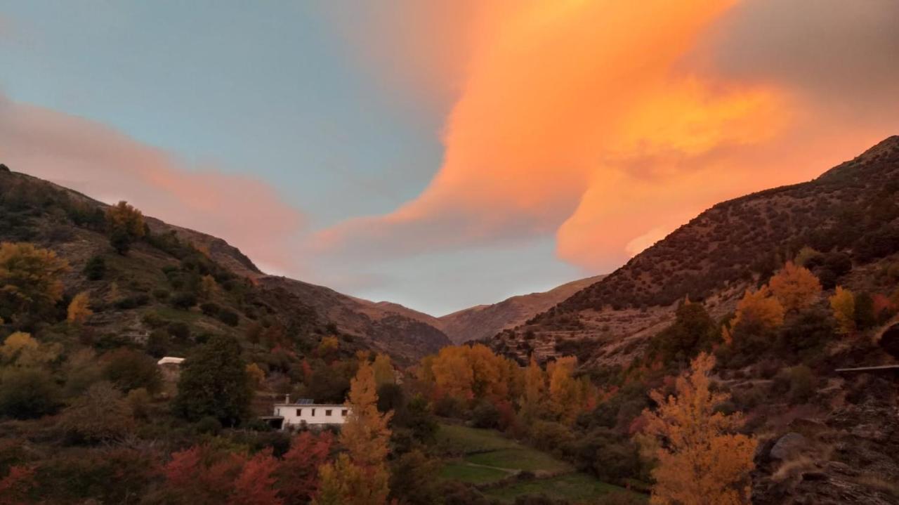 Trevélez Casa Rural Cortijo Molino Altero מראה חיצוני תמונה
