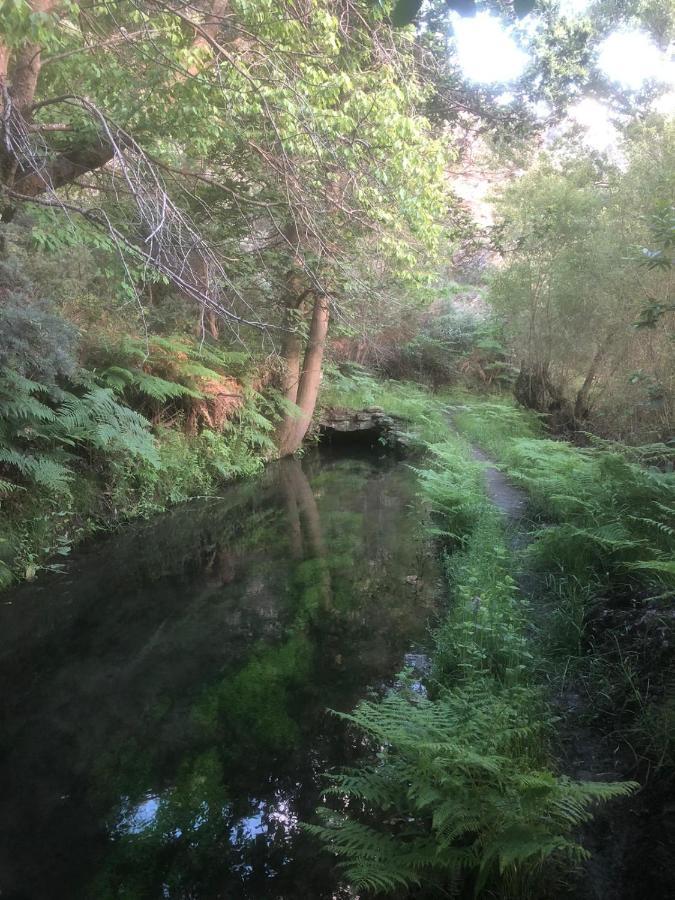 Trevélez Casa Rural Cortijo Molino Altero מראה חיצוני תמונה