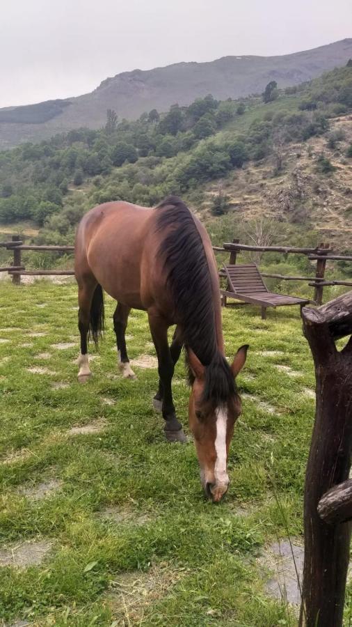 Trevélez Casa Rural Cortijo Molino Altero מראה חיצוני תמונה