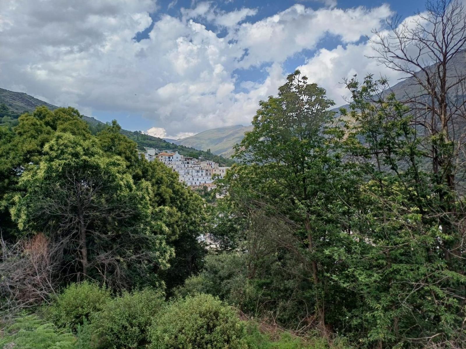 Trevélez Casa Rural Cortijo Molino Altero מראה חיצוני תמונה
