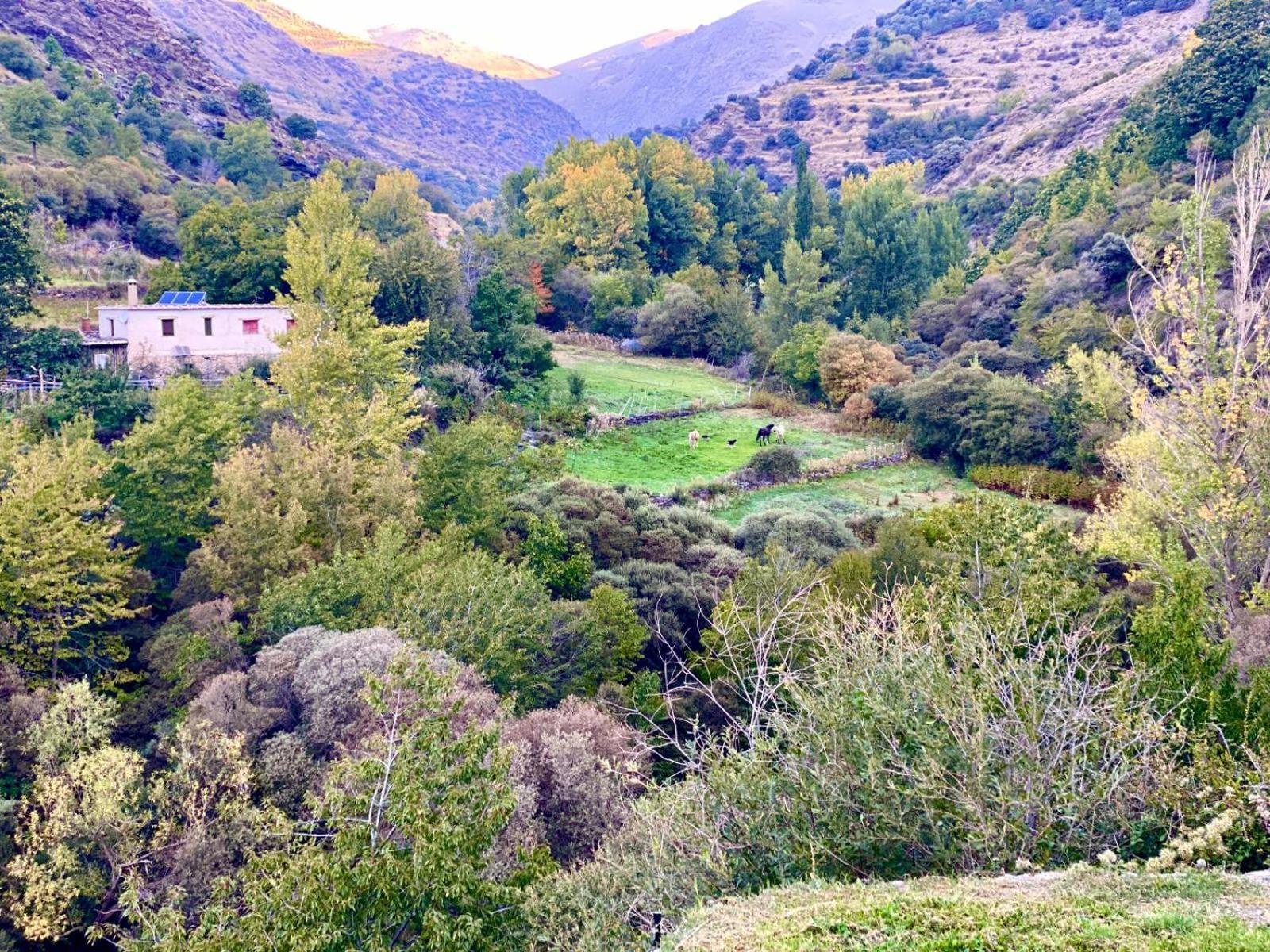 Trevélez Casa Rural Cortijo Molino Altero מראה חיצוני תמונה