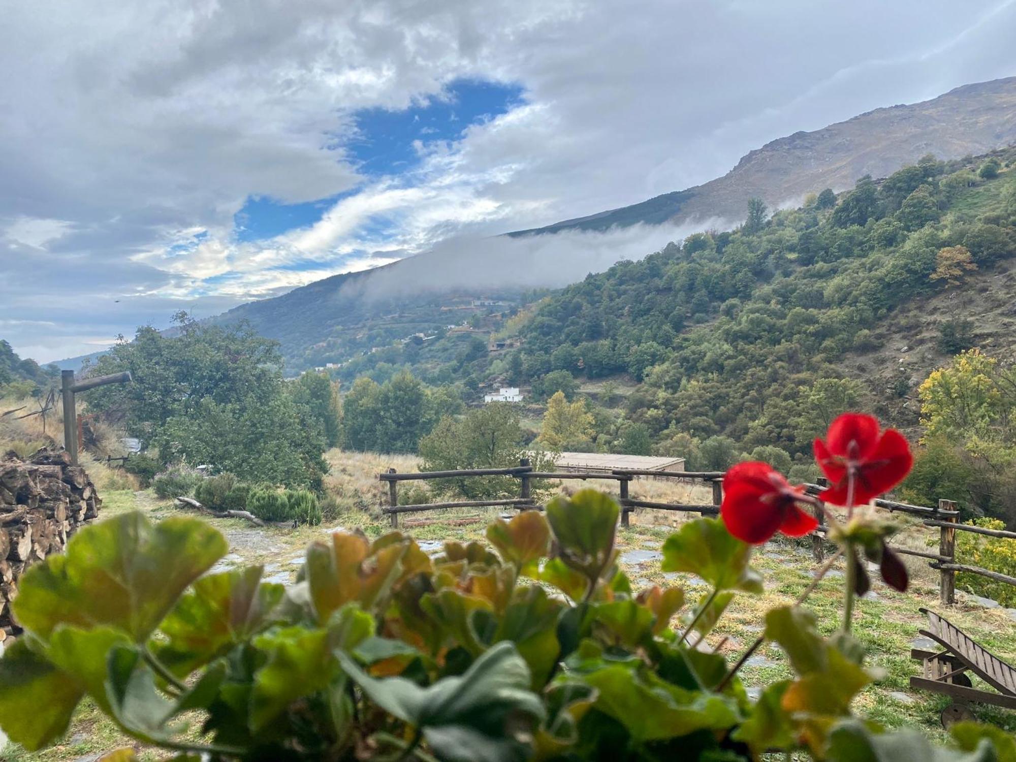 Trevélez Casa Rural Cortijo Molino Altero מראה חיצוני תמונה
