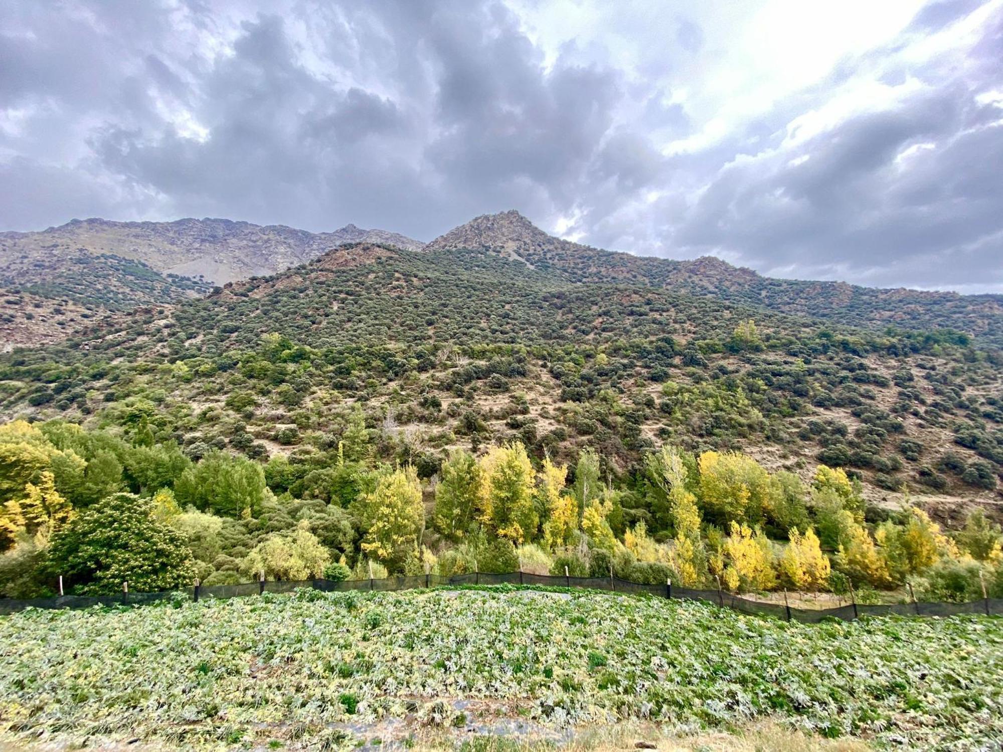 Trevélez Casa Rural Cortijo Molino Altero מראה חיצוני תמונה